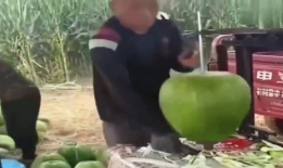 吃瓜爆料博主卖东西,吃瓜爆料博主带你解锁购物新体验